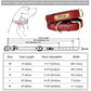Personalized Customized Leather ID Nameplate Dog Collar Soft Padded Dogs Collars Free Engraving Name for Small Medium Large Dogs