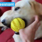 Pet Dog Toy Interactive Rubber Balls for Small Large Dogs Puppy Cat Chewing Toys Pet Tooth Cleaning Indestructible Dog Food Ball