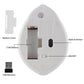 Cute Wireless Mouse Ergonomic Cartoon Hamster Mause USB Optical Gaming 3D Silent Mini Mice For PC Laptop Tablet Computer Office